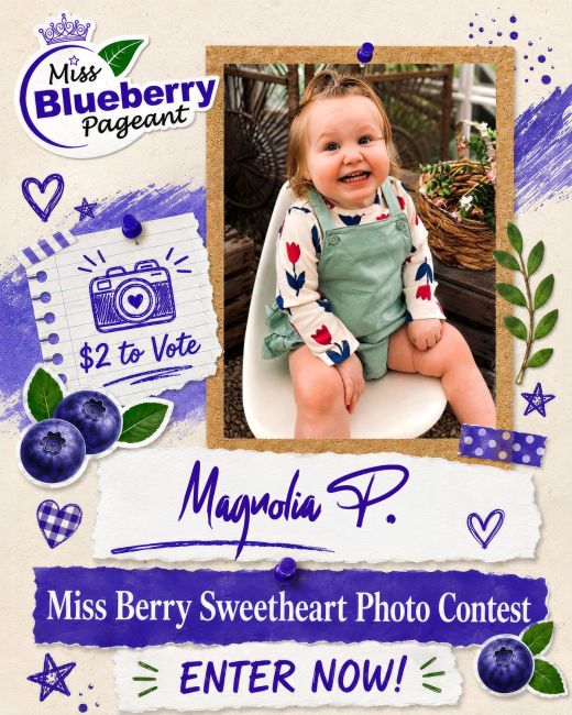 Magnolia P.